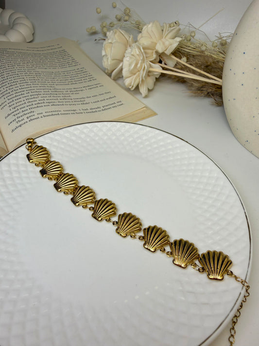 Scallop Shell