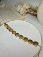 Scallop Shell